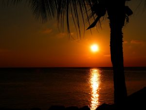 Caribbean